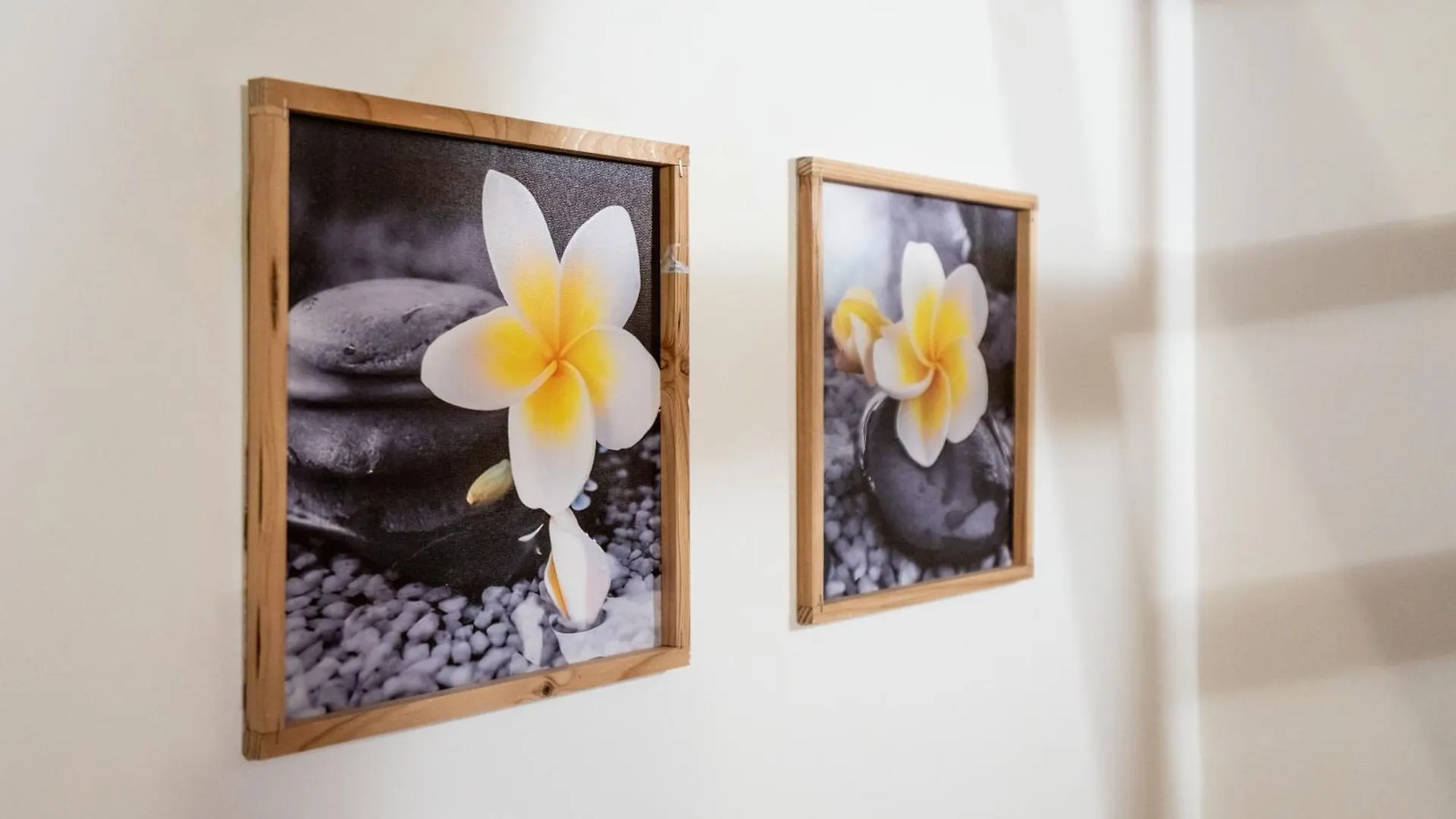 Plumeria - Vacanze In Centro A Palermo 0*,  Italy