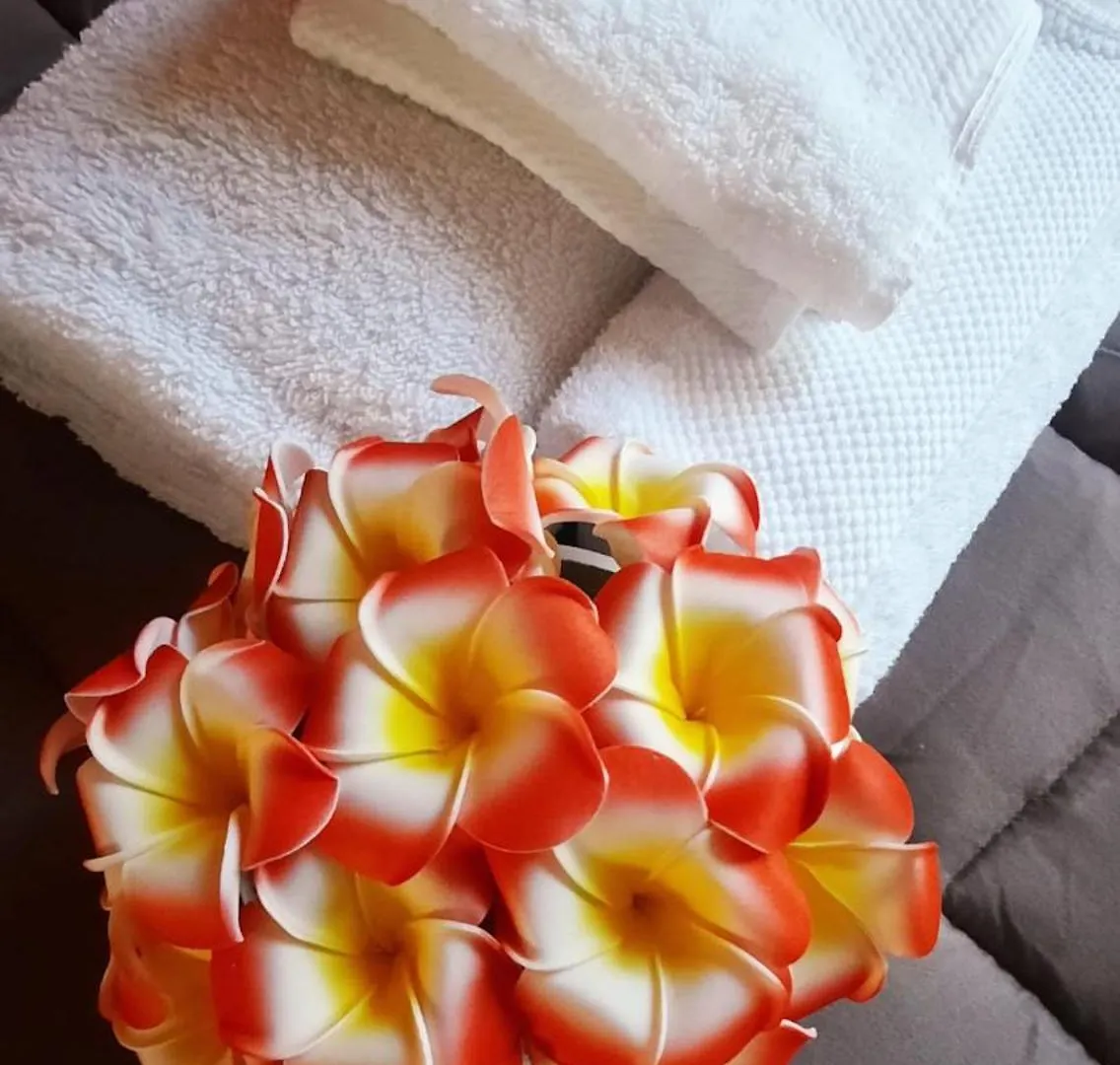 Apartment Plumeria - Vacanze In Centro A Palermo